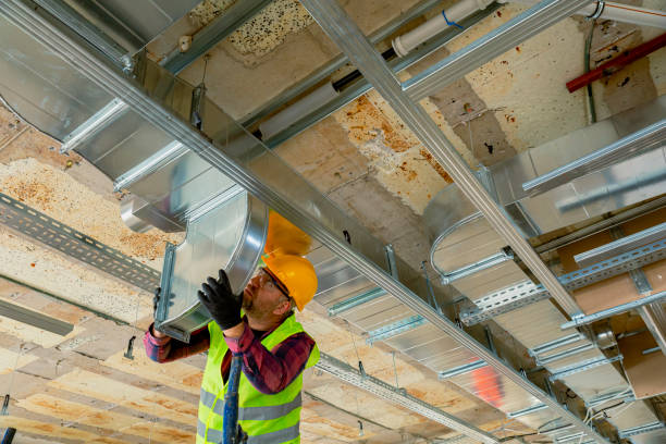 Best HVAC air duct cleaning  in Morrice, MI